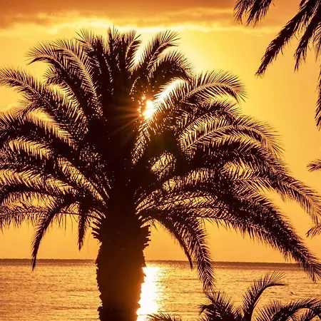 Mare D'amare Отель типа 